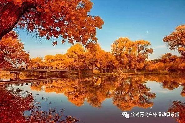 甜蜜的美好回忆
